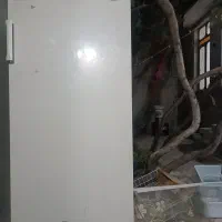 یخچال ارج یک در