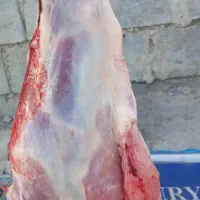 گوشت کهره باکیفیت|حیوانات مزرعه|میناب, |دیوار