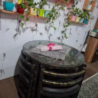 میز نهار خوریه چهار نفره در حد نو|میز و صندلی غذاخوری|بندر انزلی, استادیوم|دیوار