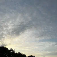 کوله پشتی گمشده