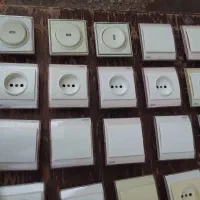 تعدادی کلیدوپریس درحدنو