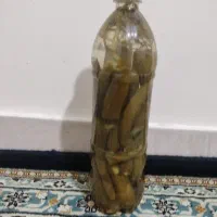 خیارشورخانگی