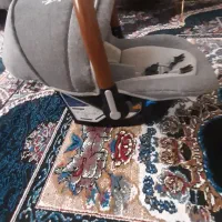 کریر نوزاد|کالسکه و لوازم جانبی|اردبیل, |دیوار