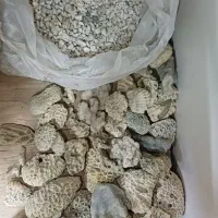 سنگ مرجانی اکواریوم