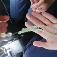 تسبیح شاه مقصود