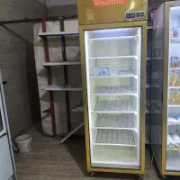 فریزر تک درب ایستاده استیل طلایی