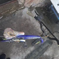 دوچرخه ۱۶|دوچرخه، اسکیت، اسکوتر|بانه, |دیوار