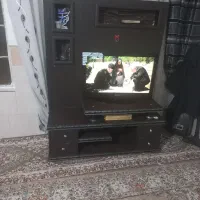 السیدی‌۳۲اینچ‌سامسونگ|تلویزیون و پروژکتور|قم, شهرک امام حسین|دیوار