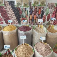 موضع و ویزیتور