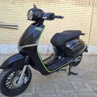 پاکشتی برقی
