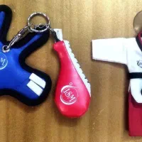 اکسسوری تکواندو سه تا