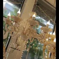 لوستر های کریستالی شاخه ای تمام وارداتی زیر قیمت|لوستر و چراغ آویز|اهر, |دیوار