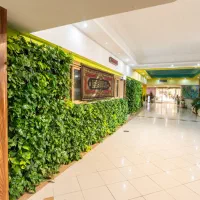 خدمات باغبانی از صفر تا صد در تمام نقاط اصفهان