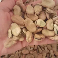 200کیلو باقله تمیز پزا