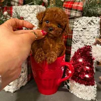 سگ توله تاینی توی پودل 65 روز وارداتی|سگ|تهران, سعادتآباد|دیوار