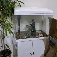 آکواریوم|ماهی|فردیس, شهرک راه آهن|دیوار