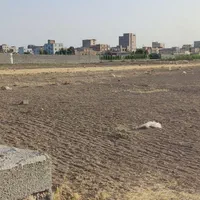 فروش زمین کشاورزی۲۰۰ متری در ماهدشت|فروش زمین و ملک کلنگی|کرج, حصارک بالا|دیوار