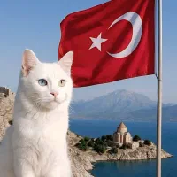 تور ترکیه + تور وان + تور نوروزی وان