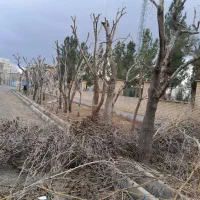 حرص محوطه سازی نصب کنتور گاز مجوز ادارات انشعابات|خدمات پیشه و مهارت|چهارباغ, |دیوار