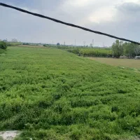 سوئیت-اپارتمان-اجاره-ای
