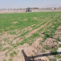 فروش زمین باغ و ویلایی ۱۶۰۰ متری در روستای آشنستان|فروش دفتر صنعتی، کشاورزی، تجاری|قزوین, |دیوار