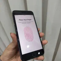 iPhone 8plus|موبایل|گلستان (تهران), |دیوار