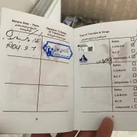 توله میکس ژرمن دوبرمن|سگ|فردیس, منظریه|دیوار