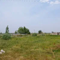 زمین صنعتی بر خیابان اصلی تهاتر دارد|فروش دفتر صنعتی، کشاورزی، تجاری|آمل, |دیوار