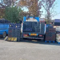 انگور دیم شانی شاهانی سردشت|خوردنی و آشامیدنی|کرج, میدان میوه و تره بار مرکزی|دیوار