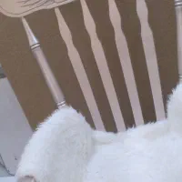 صندلی راک|صندلی و نیمکت|مشهد, طبرسی شمالی|دیوار