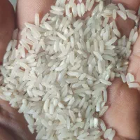 برنج سینماسوری|خوردنی و آشامیدنی|اهواز, آریاشهر|دیوار