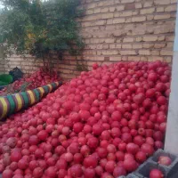 انار دانه قرمز|خوردنی و آشامیدنی|بختگان, |دیوار