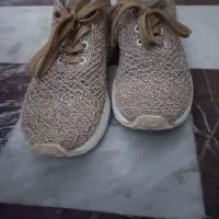 کتونی نو|کیف، کفش، کمربند|رشت, منظریه|دیوار