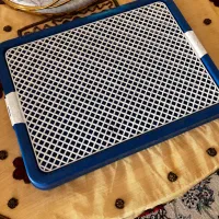 سینی دستشویی سگ