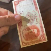اسکنا‌‌س شاهی