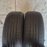 لاستیک|قطعات یدکی و لوازم جانبی|تبریز, |دیوار
