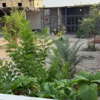 اجاره ویلا|اجارهٔ کوتاهمدت ویلا و باغ|بندرعباس, |دیوار