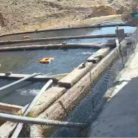 استخدام کارگر پروش ماهی با حقوق بالا