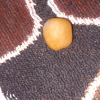 سنگ|بدلیجات|اهواز, پردیس|دیوار