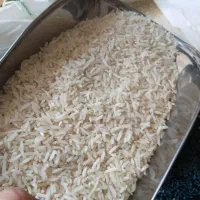 فروش سرلاشع ونیم دانه درجه یک طارم هاشمی|خوردنی و آشامیدنی|نسیم‌شهر, |دیوار