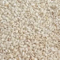 پخش عمده کنجد