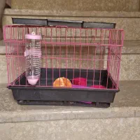 قفس خرگوش کاملا نو