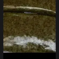 ۱۰ عدد سبزی خورشتی مال امسال