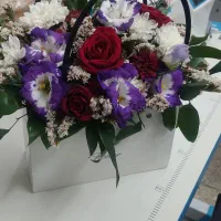تعدادی چرخ کار خانم نیازمندیم