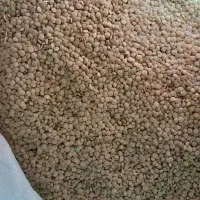 عدس درجه یک عالی پوخت سری