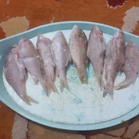 ماهی شیربت تازه سیدامروز|ماهی|اندیمشک, |دیوار