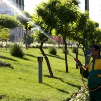 کنترل آفات کشاورزی (سم وکود دهی درختان )