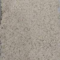 برنج طارم امراللهی(کشت دوم۱۴۰۴)