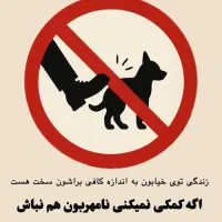 سگ پیدا شده