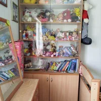 کتابخانه و کمد|کتابخانه، شلف، قفسه‌های دیواری|شیراز, کوی زهرا|دیوار